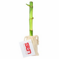 10" Lucky Bamboo Stalk in Natural Cotton Bag w/ Custom Plant Care Tag